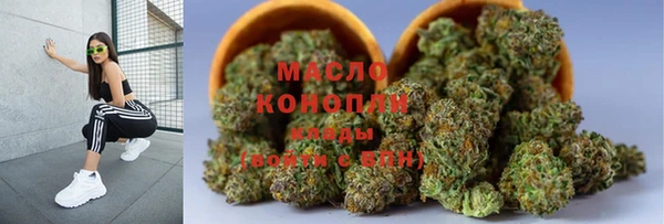 МДПВ Вяземский