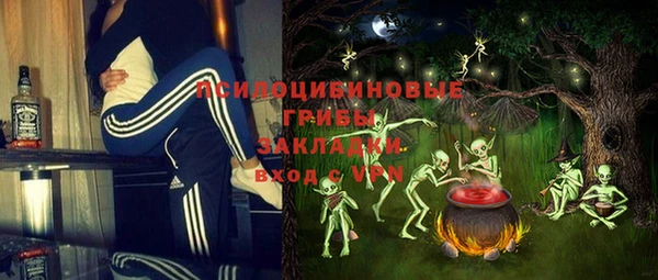 дмт Горнозаводск